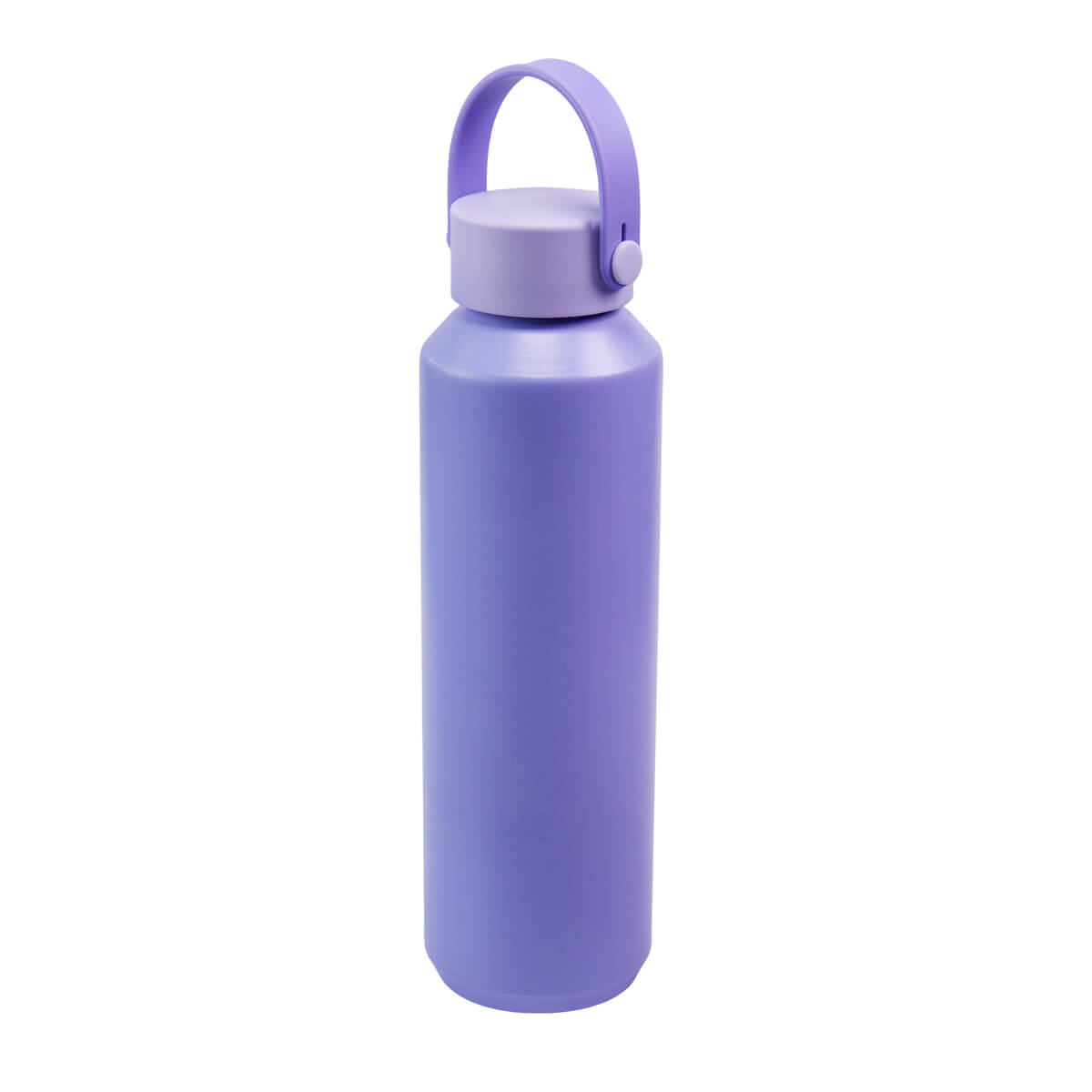 CC2934-MORADO